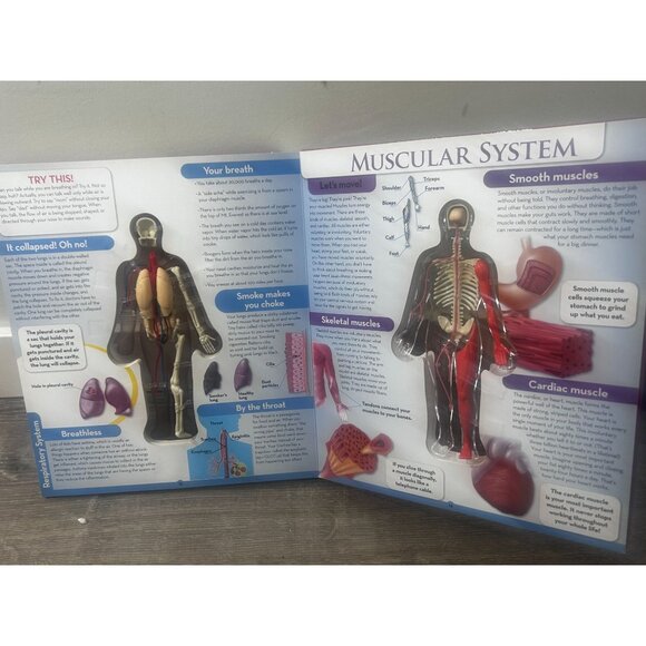 Uncover The Human Body 3D Board Book By Luann Colombo Hardcover 2002 - Picture 2 of 5